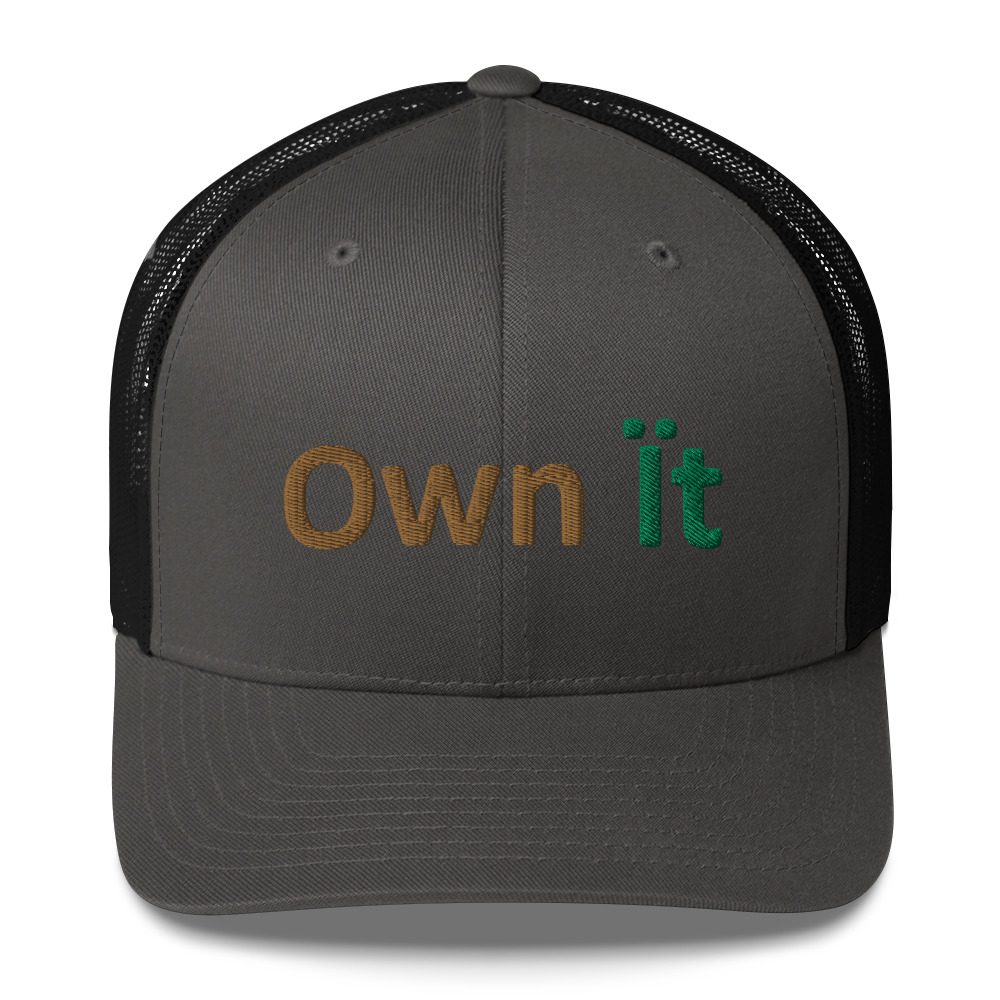 Gray cap with "Own It" embroidered text.